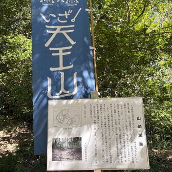 山﨑城址