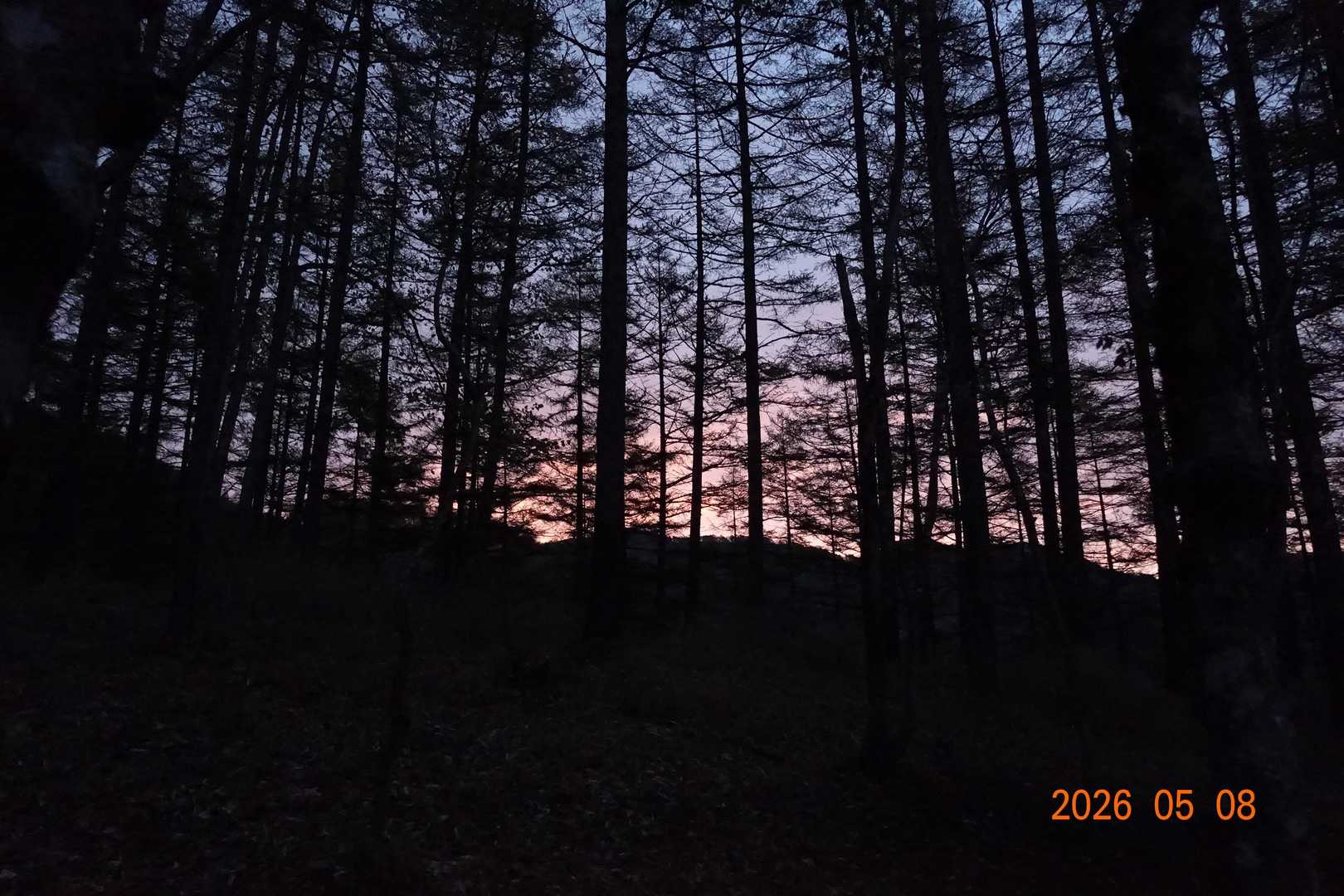 三ノ瀬登山口-東仙波-和名倉山 往復コースの写真