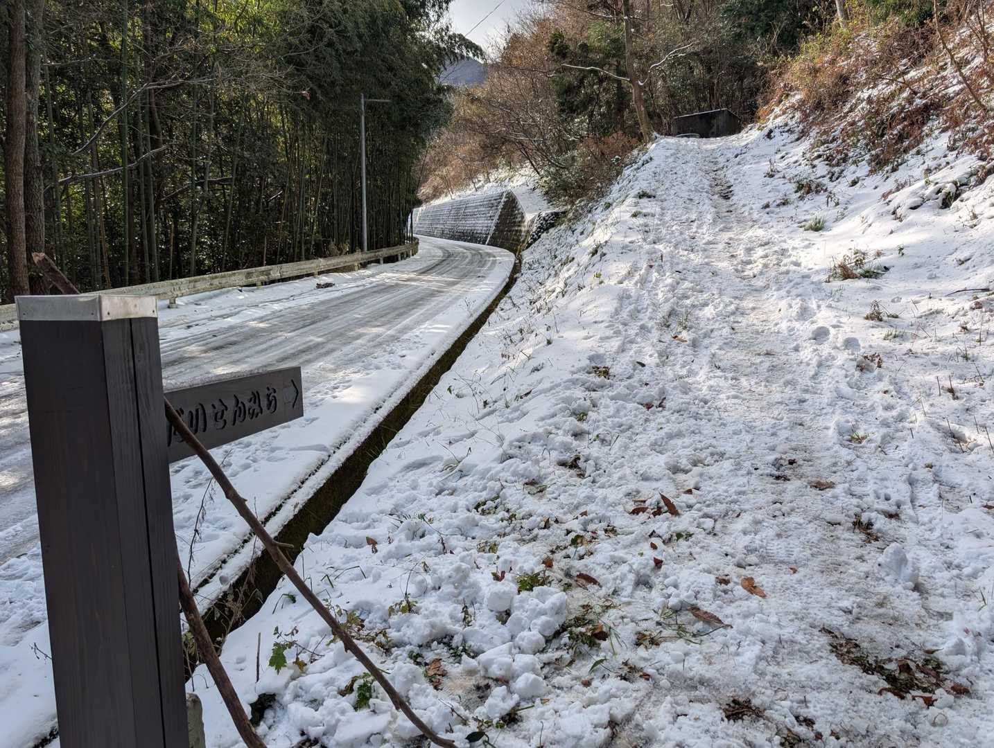 大川山 往復コースの写真