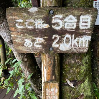 ベンチが使用禁止ばかりで
座れないまま山頂を目指す