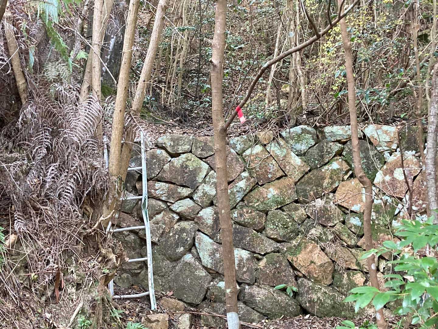 石垣、かつての生活の場があったのでしょうか？