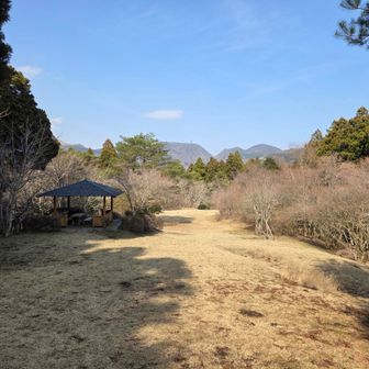 ちょっと寄り道