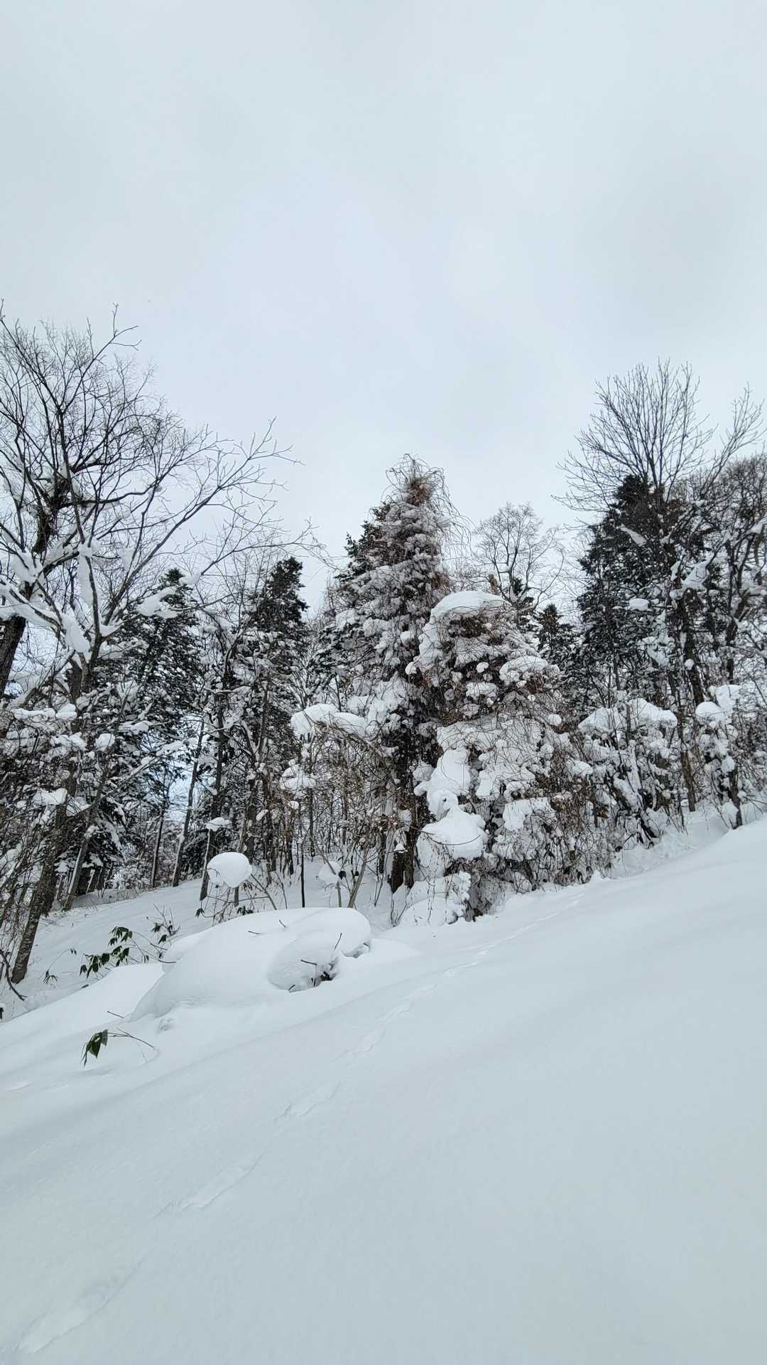 斜度はこれくらい。