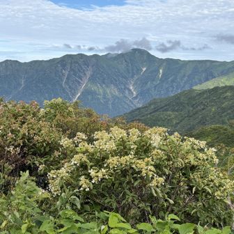 三国小屋で初めて大日岳が見えます