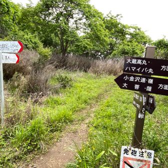 後ろ方面に進みます。
そういえば散弾銃の薬莢が落ちてたな
