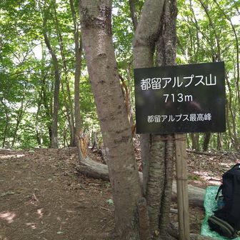 都留アルプス山