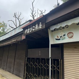 推し達が食べてたお店！今日おやすみ？