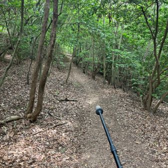 なだらかな尾根道を進みます。
片道10分で機子山に到着するはず。