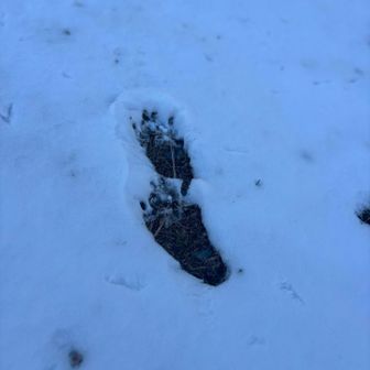 おさとうやまへ
？？何の足跡でしょう？