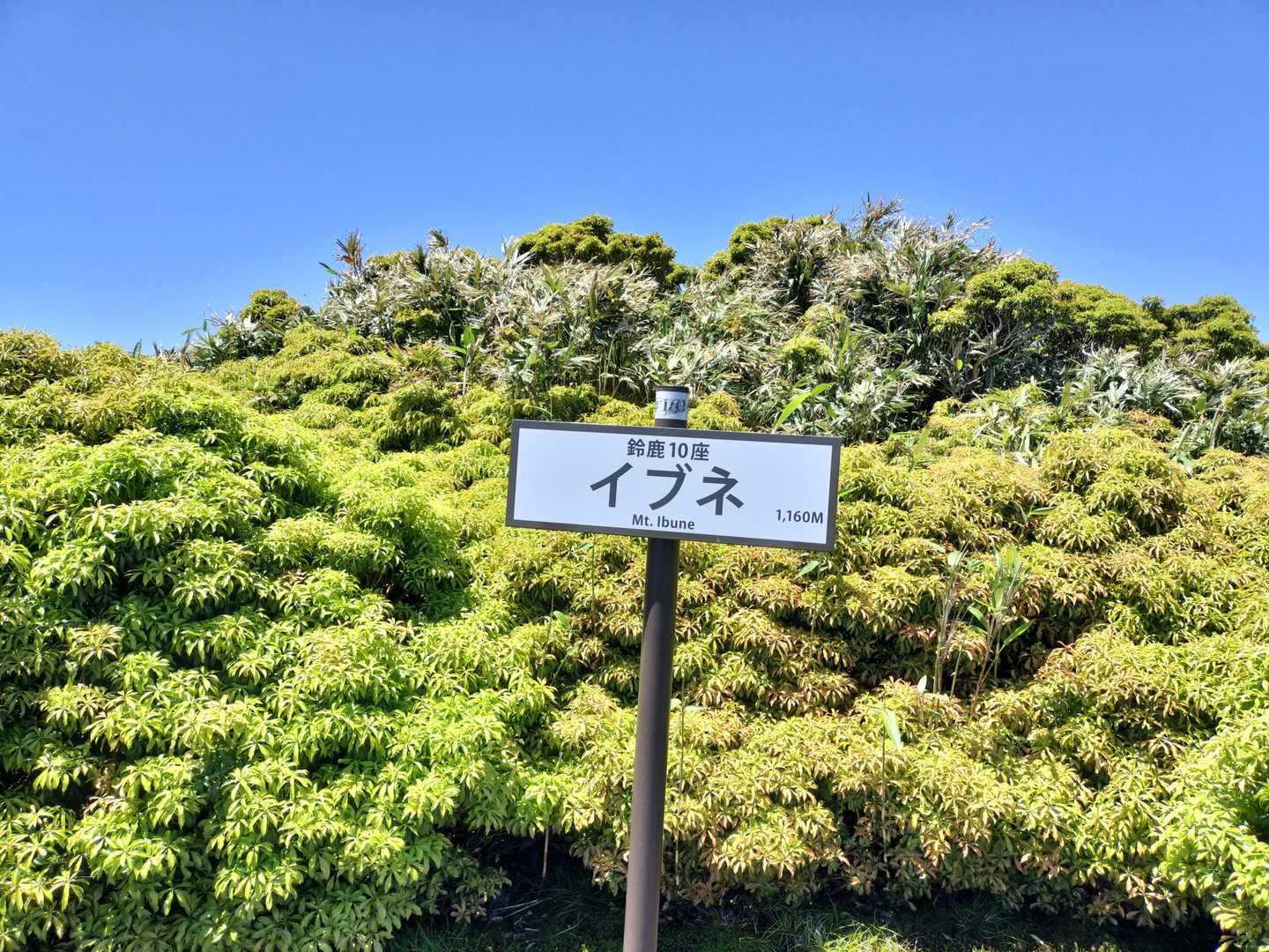 地図上の標高点1160mからは少しずれてる