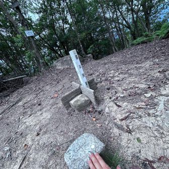 三角点タッチ
