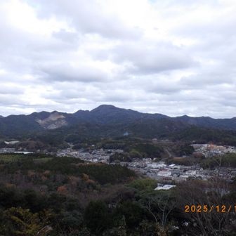 大満寺山と城北町の様子