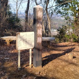 初沢山山頂(294m)到着。
三等三角点上椚地。
眺望は少しだけ。