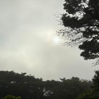 ガスで何も見えない🫥
