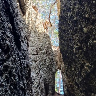 地割れ(最深部)