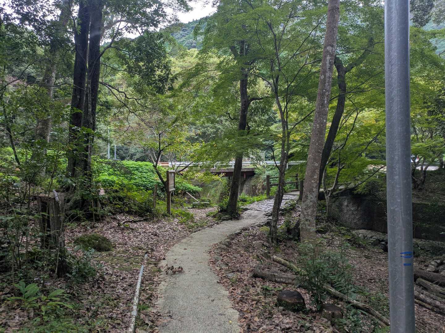 竜門ダム登山口-牧ノ山 周回コースの写真