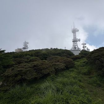 これのおかげかな
電波良かった📡