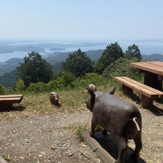 尉ヶ峰（じょうがみね）ついた
イノシシ　親子がいるよ