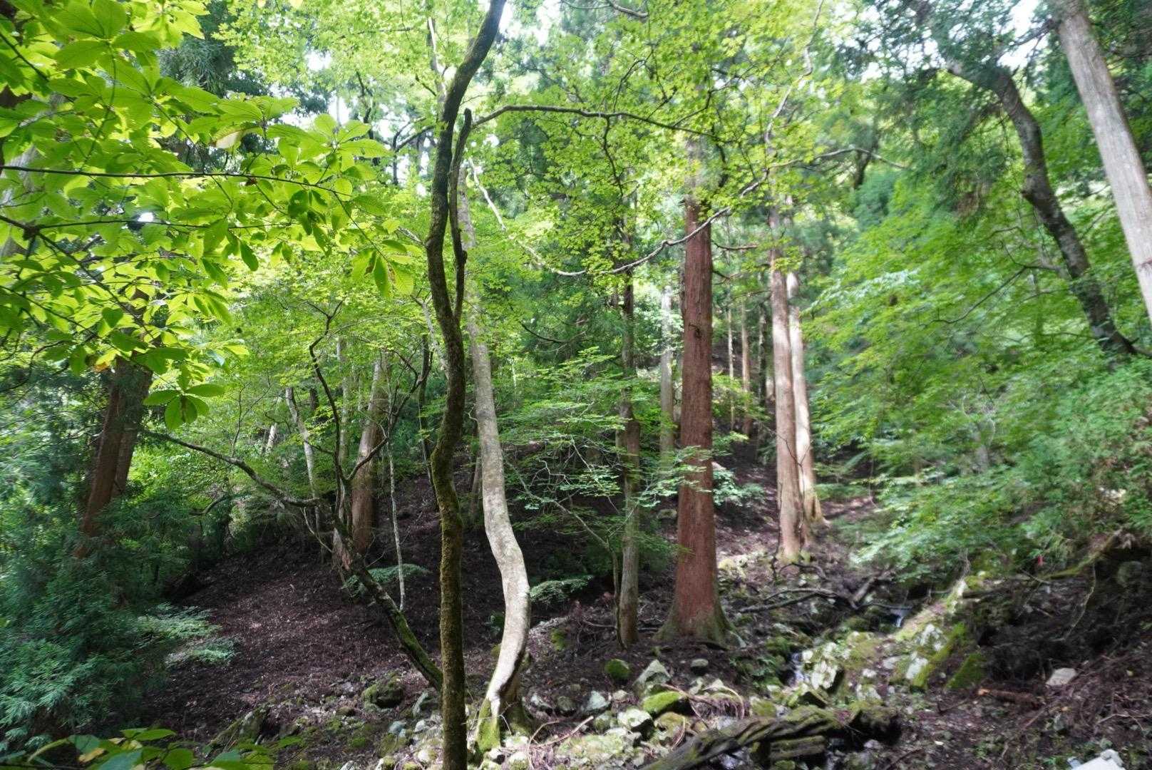 那岐山登山口-滝神社-滝山 往復コースの写真
