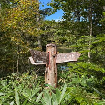 富士見峠　アヤメ平に至る分岐点