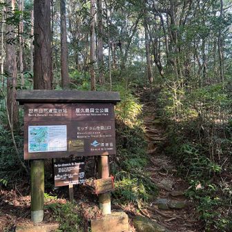 登山口にはとても綺麗な看板
晴れてる☀️