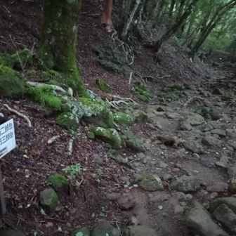 左の看板に四辻が過ぎたように記載されてますが、四辻はこれの少し先です。焦らないように。