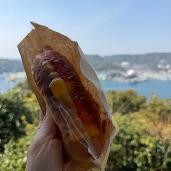 HAYAMA coffeeで買った
チーズサルサホットドッグ🌭