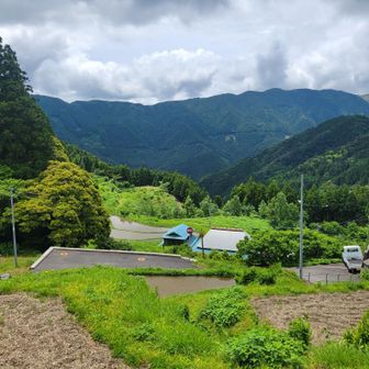 棚田