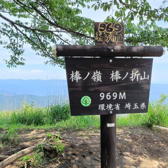 ぼうのれい、ぼうのおれやま
と、読むんですね
標高969m

山頂は広くて大きな桜の木があり、あずま屋もありました
日陰で休憩できます👍
