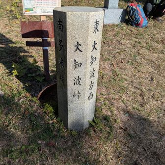 富士見岩手前の廃寺跡・大知波峠は広葉になっています