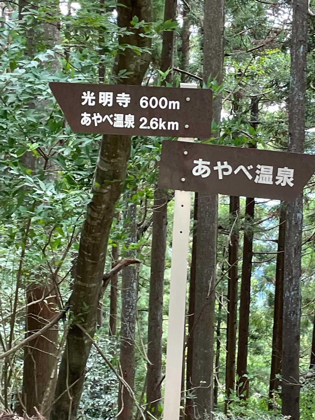 帰りはあやべ温泉♨️と思ってたら