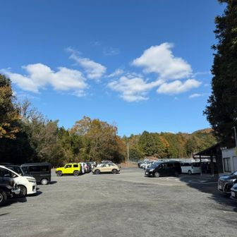 満車近い駐車場にゴール！