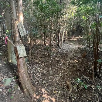 ルート戻って…女岳へ！