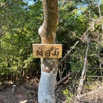 駐車場から5分ほどで到着