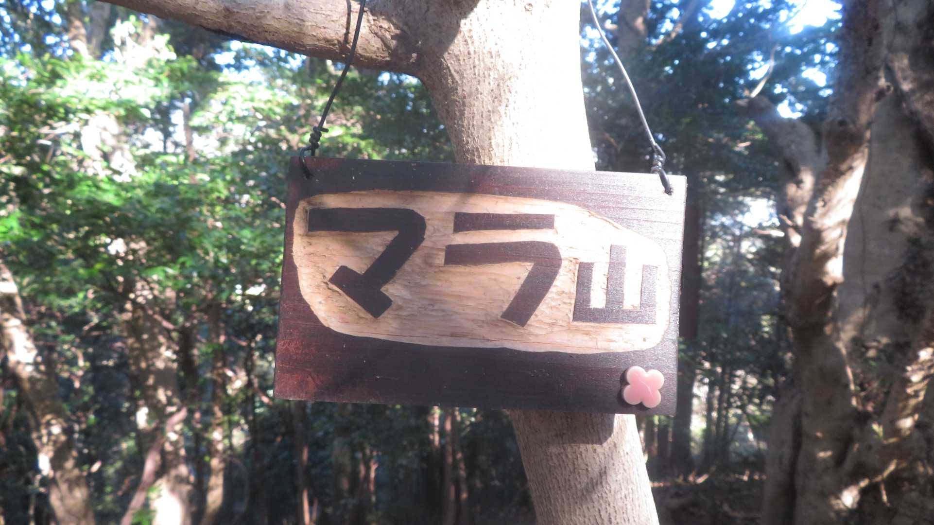 マラ山到着