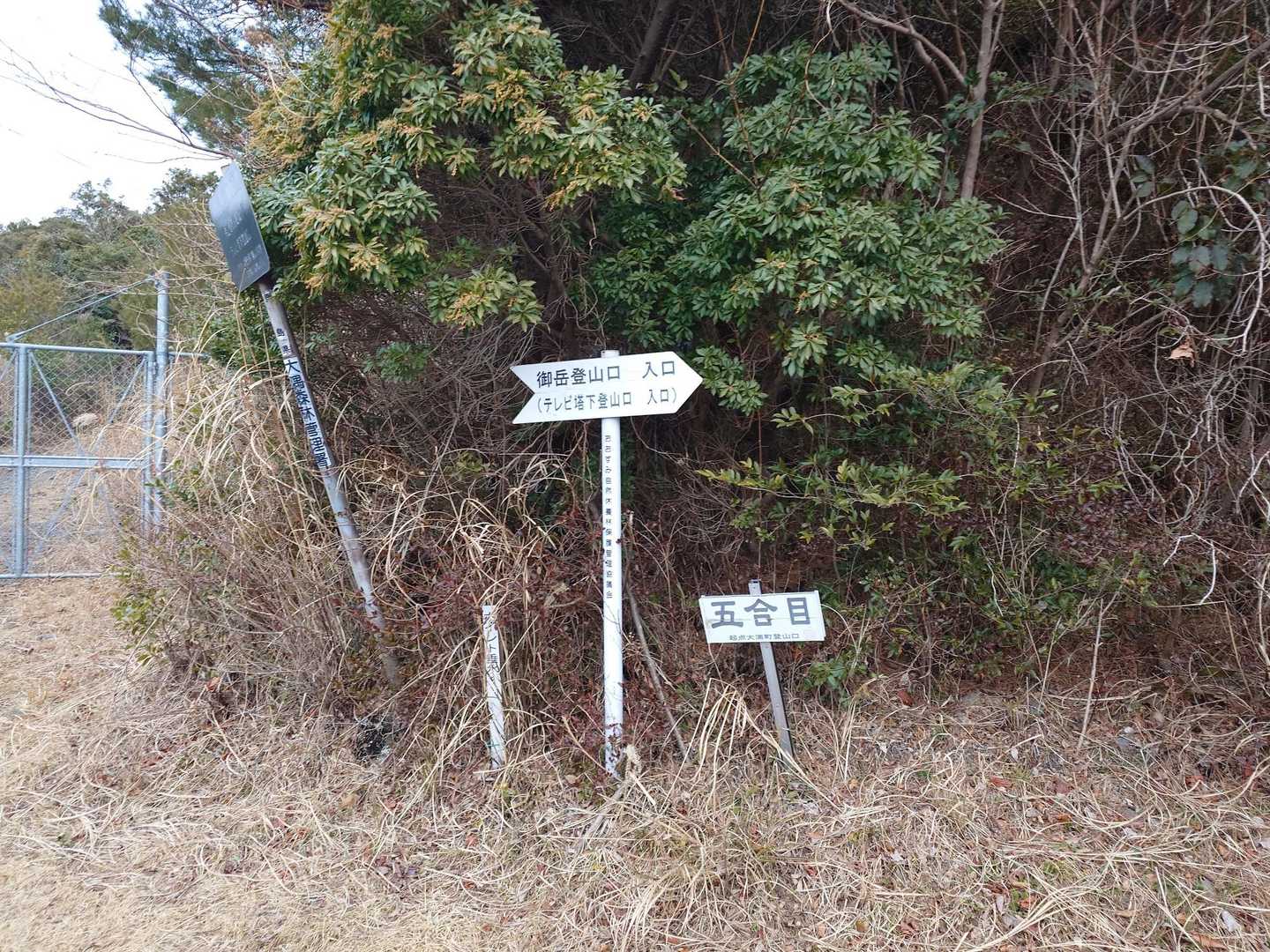 ちょっと歩くと登山口✋