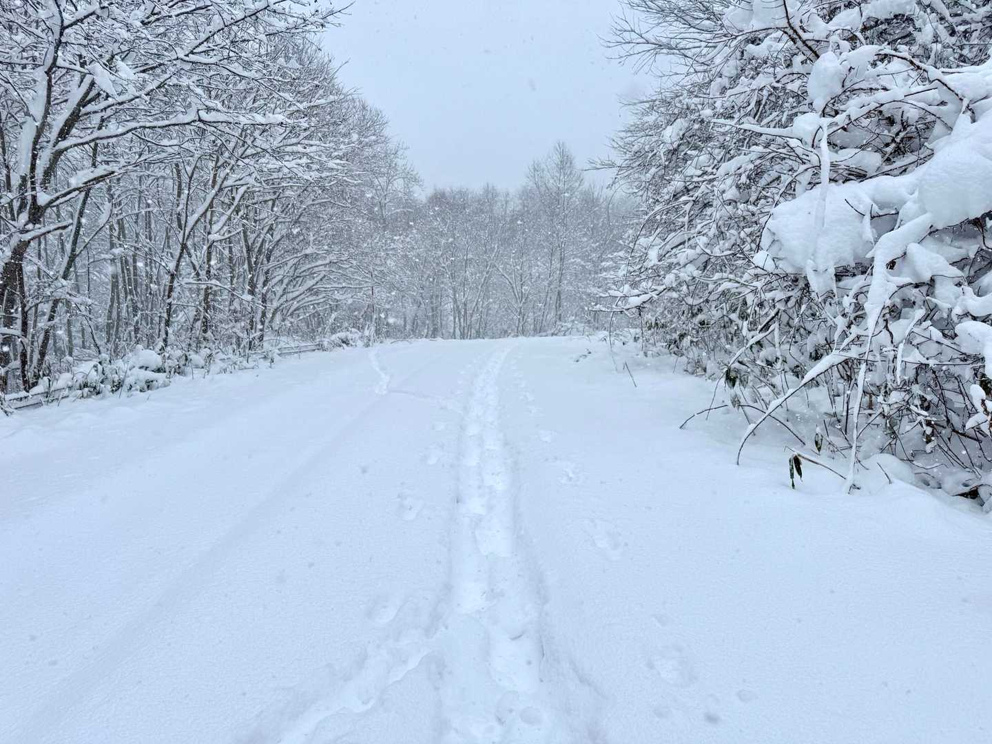 雪が深くて、登山口🅿️まで車ではいけません💧