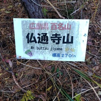 ラッキー✨仏通寺山は広島県百名山だった。
地味にチャレンジ中です。YAMAPピークで広島は500座以上登頂しているので、多分8割以上はクリアしているはず（ちゃんと調べていない😅）