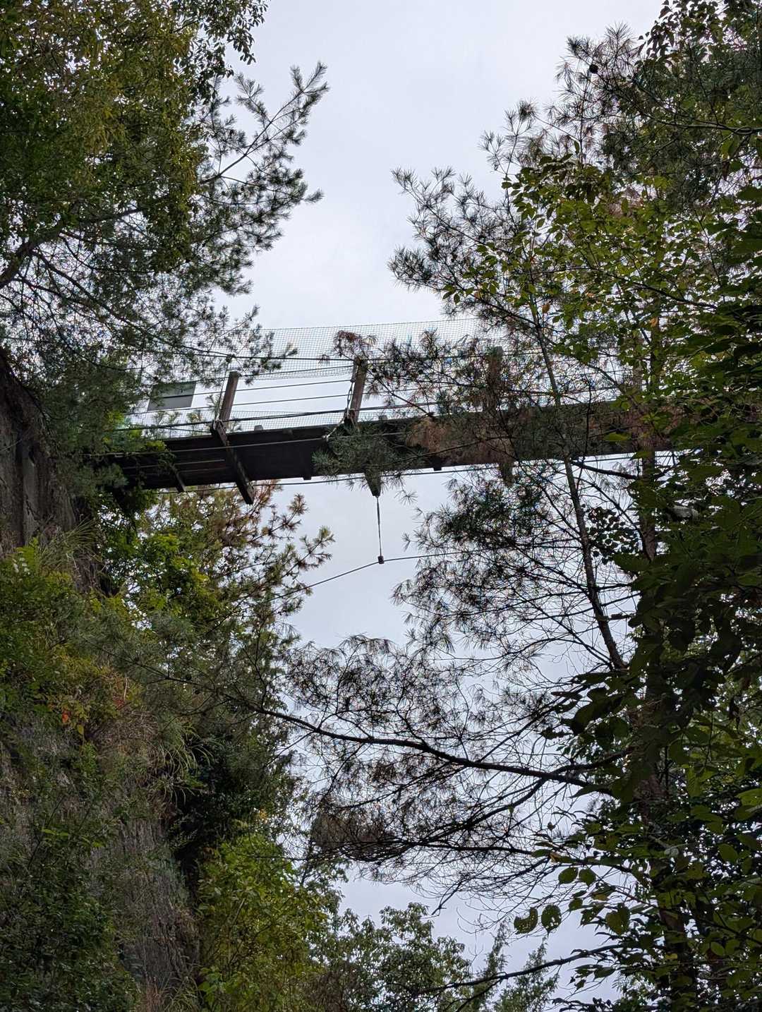 頭上の吊り橋