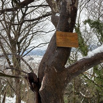 看板薄くなってる