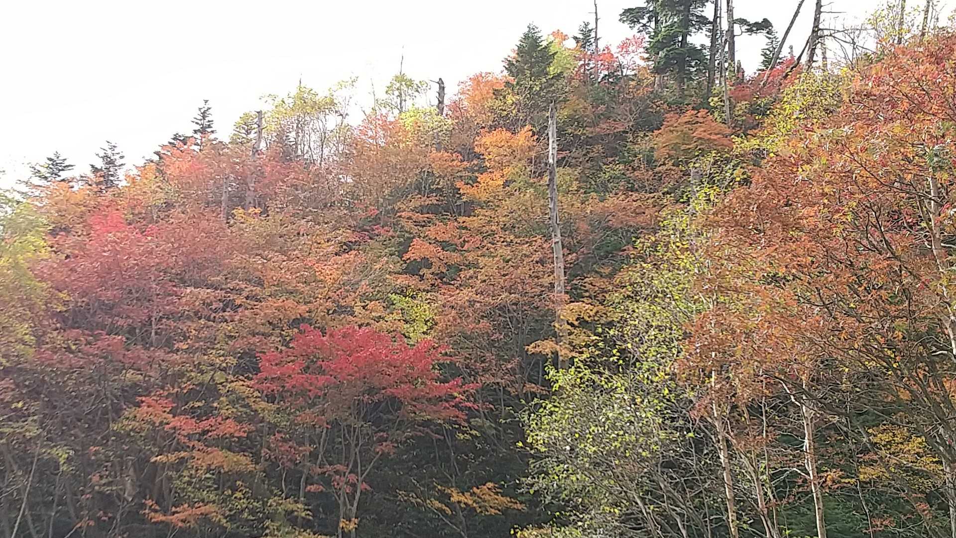 金精峠からスタートです😃
紅葉🍁が綺麗です💞