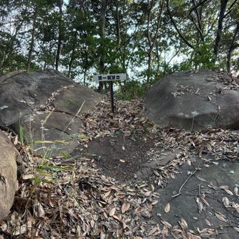 第一展望台　展望なし