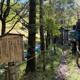 トイレは利用できるっぽい