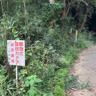 「自動速度取締機設置路線」みたい🤣
移動式オービスか😅