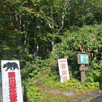 やっと登山口！駐車場からここまで舗装道路を歩く…行きはまだいいけど、帰りはちょっと飽きるなぁ😅