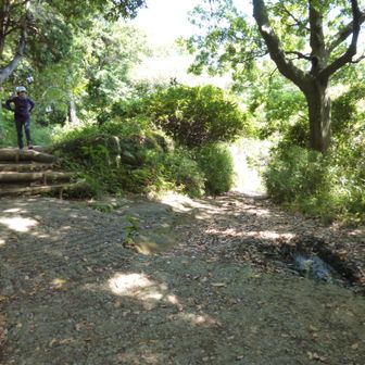 尾根沿いにあります　天園　横浜市内で一番高い地面です。ここで道を間違いました。