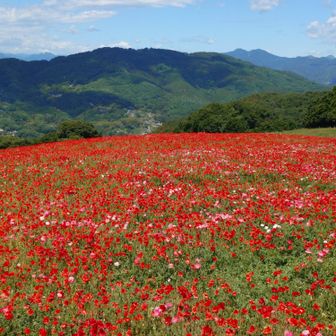 独り山旅:物見遊山