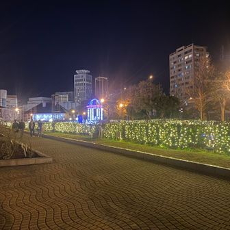 楽しい横須賀ウォーキングでした