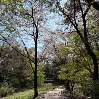 すてき！また撮っちゃうw