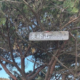 今日の３つ目のピーク長峰山！
ここからのくだりは、道が崩れてるとこもあり、歩きにくかったです😓